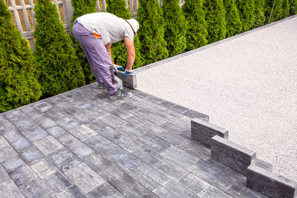 Best Driveway Stamping and Staining in Sparta, IL